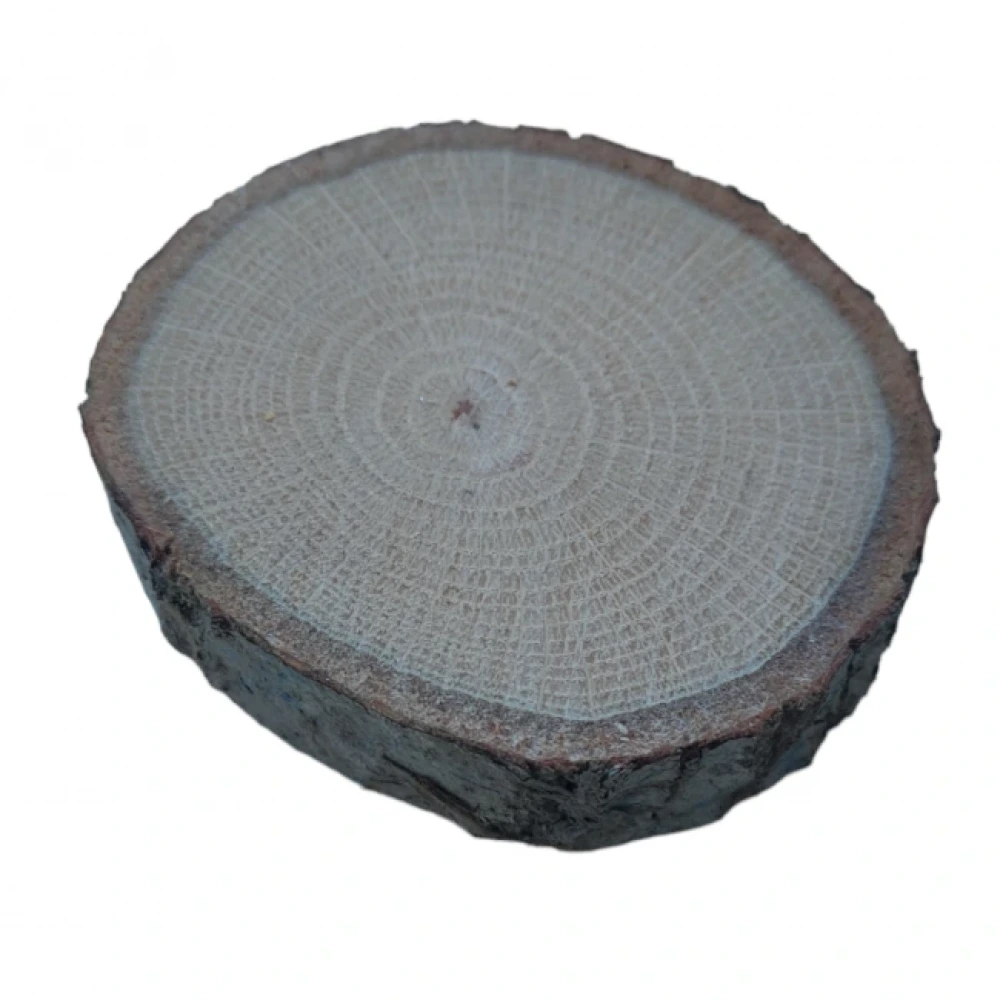 Ahşap Kütük Notluk (10 Adet) (Boyanabilir)