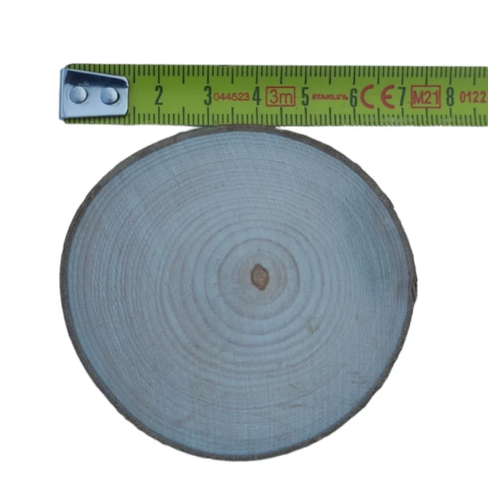 7 cm (20 Adet) Doğal Ahşap Odun Kütük Dilimi