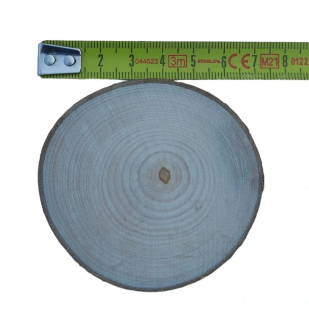 7 cm (100 Adet) Doğal Ahşap Odun Kütük Dilimi