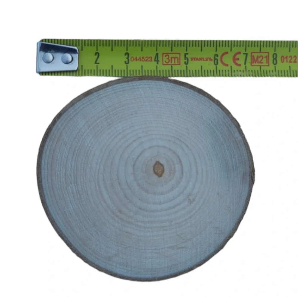 7 cm (250 Adet) Doğal Ahşap Odun Kütük Dilimi