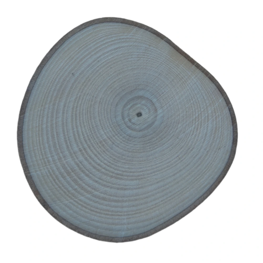 8-9 cm (250 Adet) Doğal Ahşap Odun Kütük Dilimi